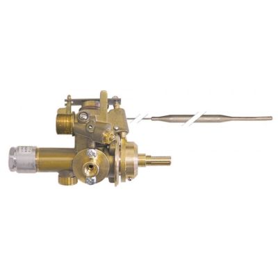 valva de gaz termostatica EGA tip EGA25213 100-300°C