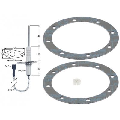 Electrod de ionizare - monitorizare, flansa ovala L 38 x 16 mm, cablu L 600 mm - 102290