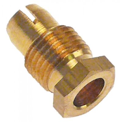 Surub de conexiune pentru termocuplu, M10x1, int. ø 6mm, cantitate 1 buc - Cod 102677