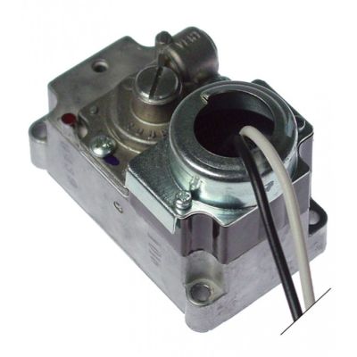 operator 240 V LPG suitable for ROBERTSHAW with cable