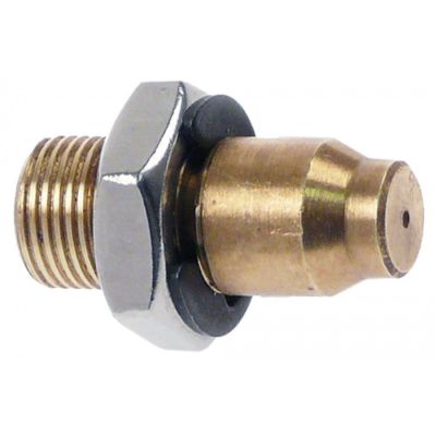 gas injector M12x1 WS 19 bore ø 1,1mm natural gas for double burner