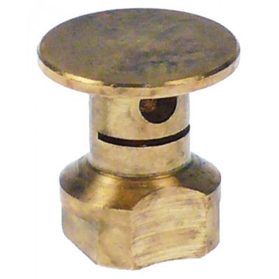 Cap arzator pilot, filet M8x0,75 - 107186