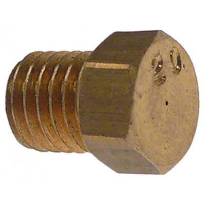 Duza arzator pilot GPL ø 0,2 mm, M5x0,75 mm - 107244