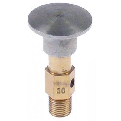 pilot burner cap 1 flame natural gas nozzle type 30
