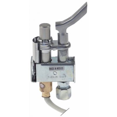 pilot burner type 262A38 0407 2 flames natural gas nozzle type TL020 1/4"