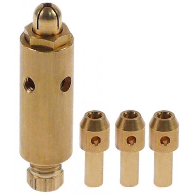 pilot burner natural/liquid gas complete