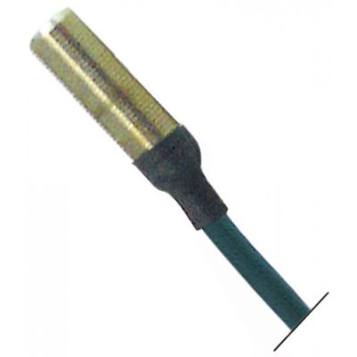 Micro intrerupator magnetic filetat M10, contact 1NO, 250 V, putere nominala 1 A, 50 W, cablu 2 m - 345632