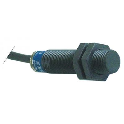 magnetic switch M12x1 1NC 24-240V AC/DCV nominal power 0,005-0,2A connection cable