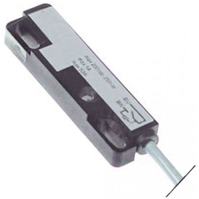 Micro intrerupator magnetic 79 x 21 mm, 1NO, 250 V, putere nominala 1 A, 50 W - 345783