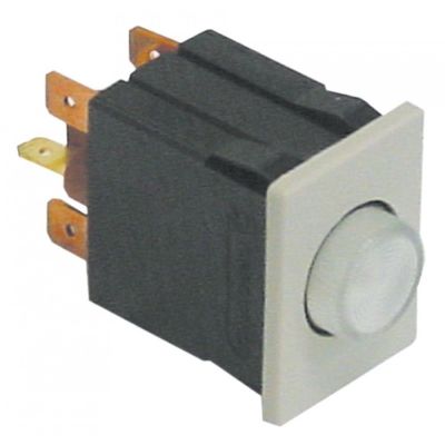 momentary push switch 30x22mm clear 1NO/1NC 250V 16A illuminated connection male faston 4,8mm/6,3mm