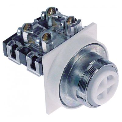 push button 31 mm without button 2 poles 1NO/1NC - 346677