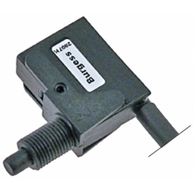 Microintrerupator acționare cu știft 250V 10A 1NO racord fișă plată masculină 6,3mm filet M10x1 - 347004
