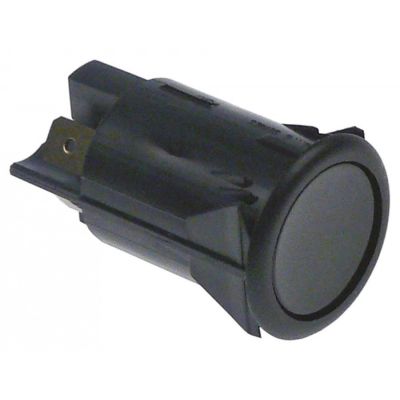 push button mounting ø 25mm black 2NO 250V 16A connection male faston 6,3mm