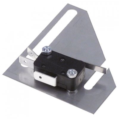 microswitch with lever 250V 15A 1CO connection male faston 6,3mm