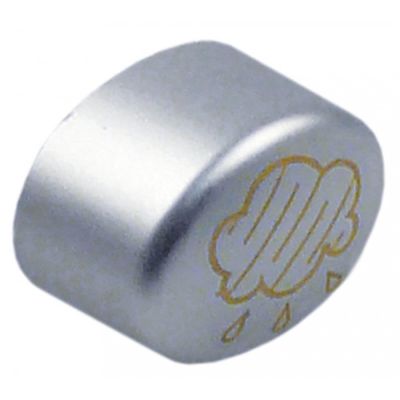push button size 17x13mm silver steam gold
