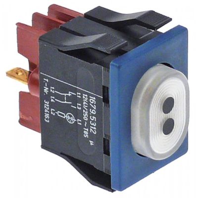momentary push switch 30x22mm white 1NO/1NC/indicator light 250V 12A programme II