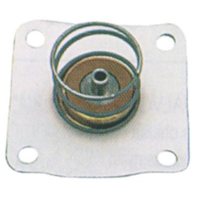 membrane connection 1" series L145-R membrane type PTFE
