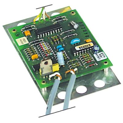 Placa electronica p.c.b. - 401479