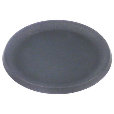 Plita 120-240V, 150 mm, ANIMO - Cod 417370