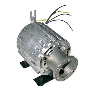 Motor pompa RPM 11039007, 150 W, 230 V, 50 Hz - 500062
