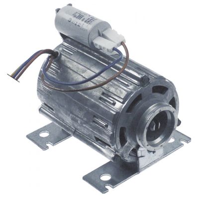 Motor pompa RPM C013726, 120 W, 230 V, 50/60 Hz, lungime 145 mm, latime 125 mm, inaltime 110 mm - 500072