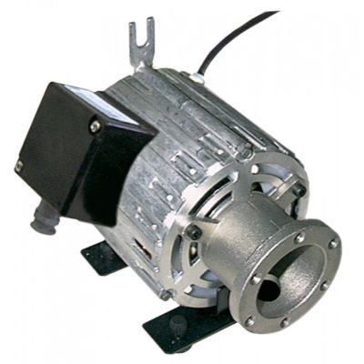 Motor pompa 11039007, 150 W, 230 V, 50 Hz - 500081