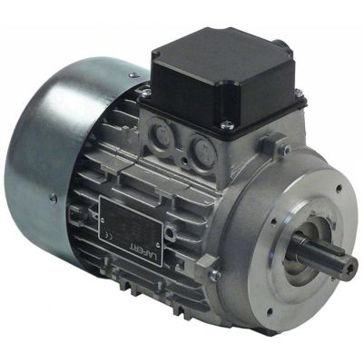 Motor 1,1 kW, 400 V, ax ø 19 mm, flansa ø 120 mm, 1400 rpm, Tip 80D4 - 500471