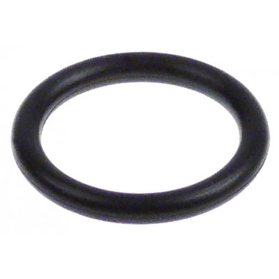 Oring EPDM interior ø 21,82 mm, grosime 3,53 mm - 501352
