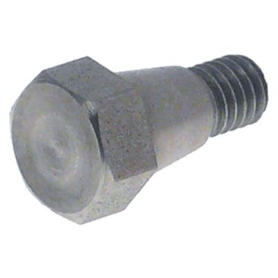screw M6 L 22 mm WS 11 for brewing unit - 525654