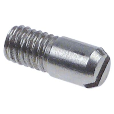 stop bolt M6 L 16 mm SS - 527875