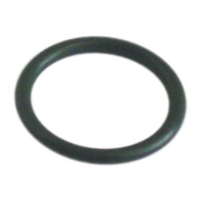 Oring EPDM grosime 2,62 mm, diam. int. ø 20,24 mm - 528919