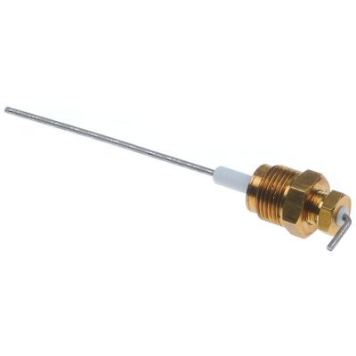 Electrod de nivel L 120 mm, filet 3/8", din inox - 528990