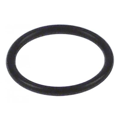 Oring Viton grosime 2,62 mm, diam. int. ø 20,24 mm - 532504