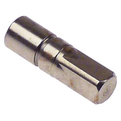 Ax L 48 mm, M8x1,25 mm, hexagon 12, pentru storcator citrice - 650170