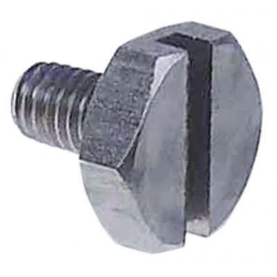 screw M6 L 10mm WS 14