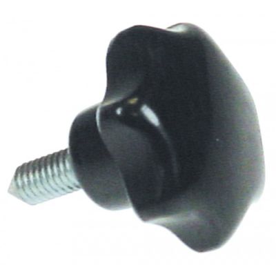 locking screw M6
