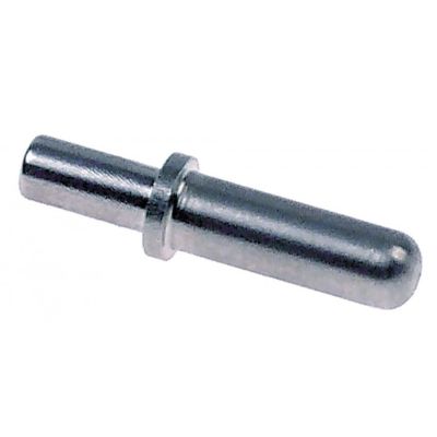 Bolt pentru microintrerupator L 30,5 mm, D1 ø 6 mm, D2 ø 5 mm - 696098