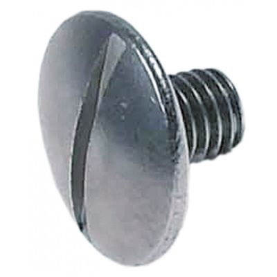 oval head screw M8 stainless steel L 10mm slicer ø 22mm