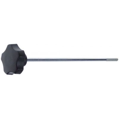 locking screw M6 L 220mm
