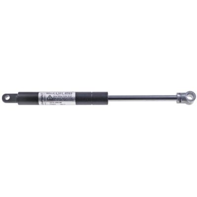 gas tension spring 882,5N hub 100mm D1 ø 22mm D2 ø 10mm hole distance 300mm hole ø 8/10mm