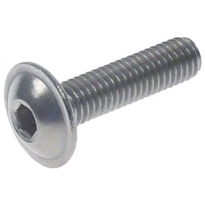 surub cu cap bombat L 20mm