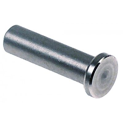 hinge bolt L 32mm stainless steel D1 ø 7,8mm D2 ø 12mm