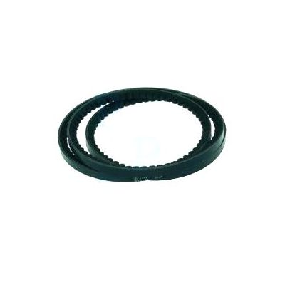 Curea dentata circumferinta 2341 mm, latime 13 mm - 3939CTICAX91